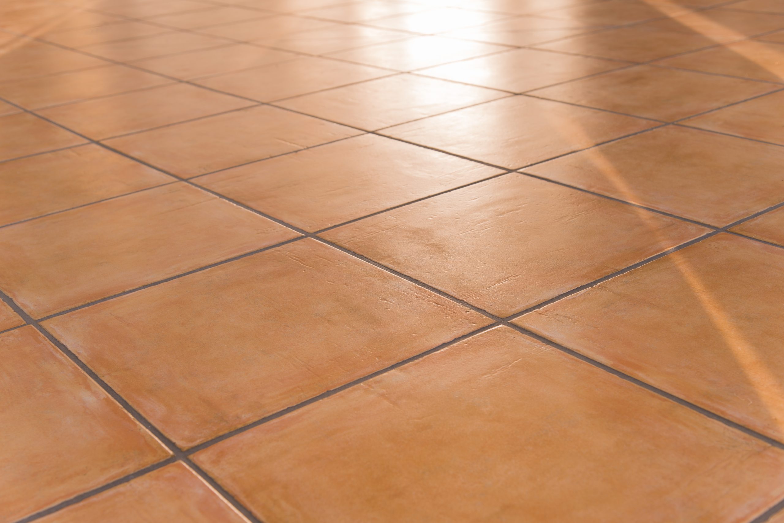 Terracotta Tile Cleaning